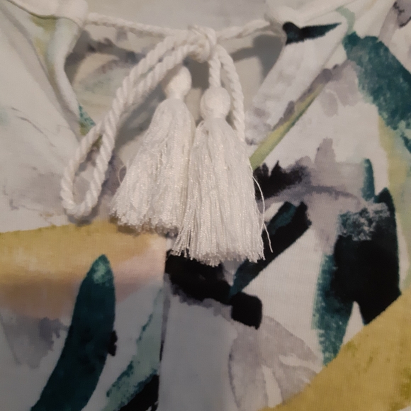 Reitman's tank - Picture 2 of 4